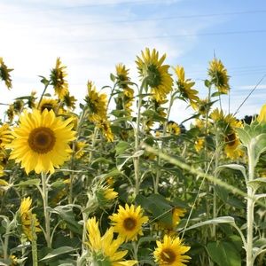 Meet your Posher, Aryn